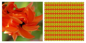 ลายดอกทองกาว