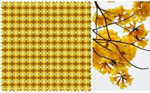 Yellow gold